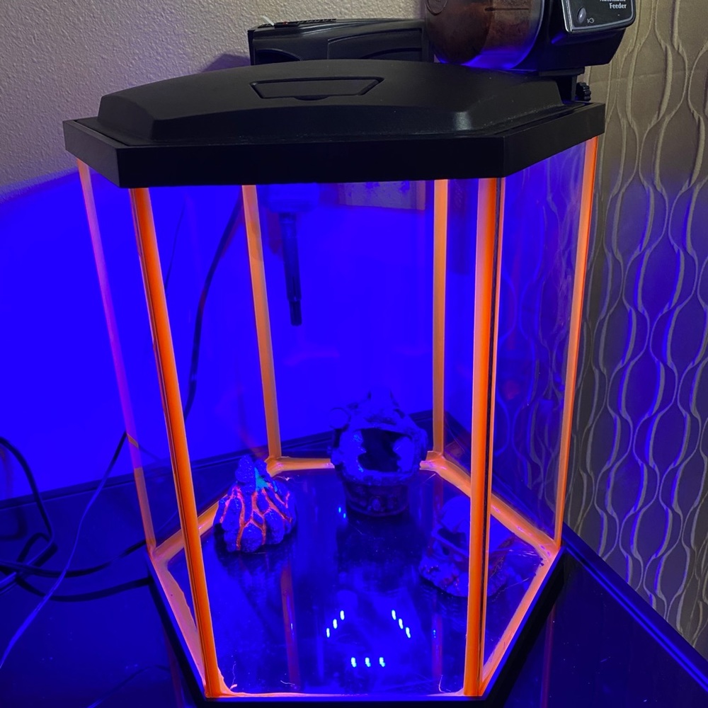 Aqueon LED Aquarium Orange NeoGlow, 8 Gallon.